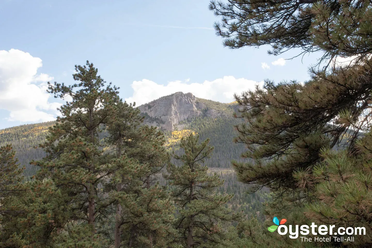 Why Booking Della Terra in Estes Park Might Be Your Smartest (or Hardest) Choice